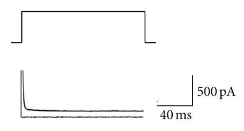 Details are in the caption following the image