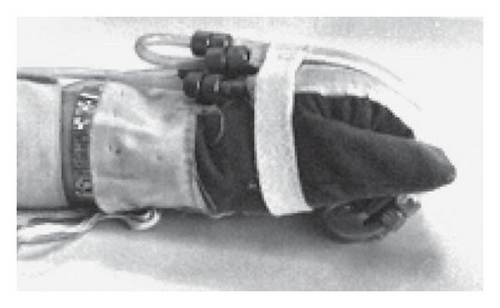 Details are in the caption following the image