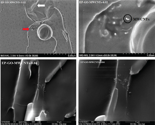 Details are in the caption following the image