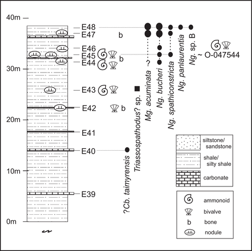 Details are in the caption following the image Details are in the caption following the image
