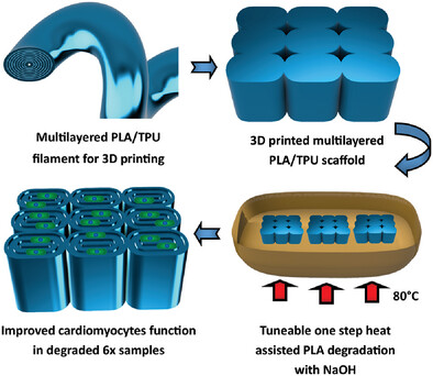 Creation of Grooved Tissue Engineering Scaffolds from Architectured Multilayer Polymer Composites by a Tuneable One-Step Degradation Process