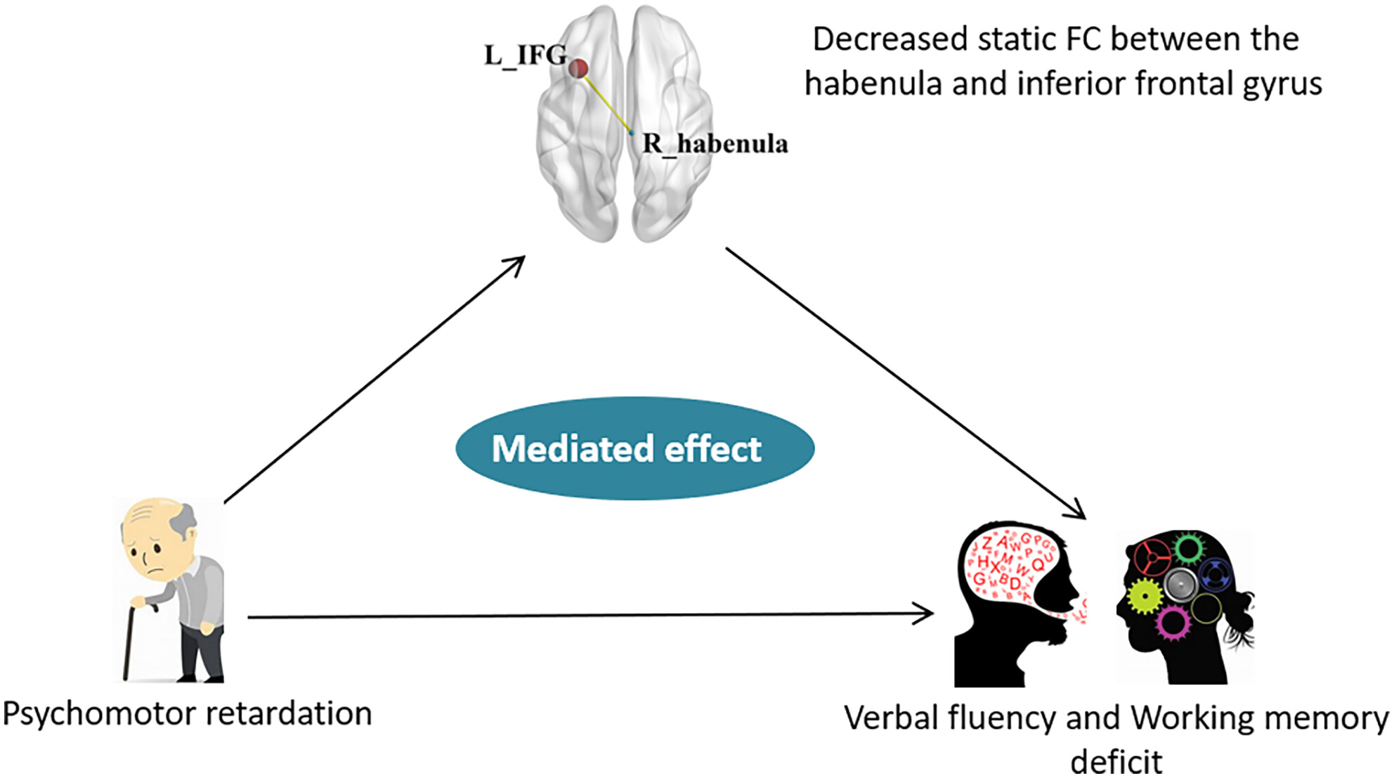 Disrupted functional connectivity of the habenula links psychomotor retardation and deficit of verbal fluency and working memory in late-life depression