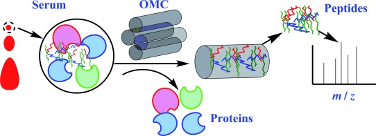 Highly Efficient Extraction of Serum Peptides by Ordered Mesoporous Carbon