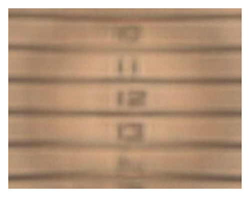 Details are in the caption following the image