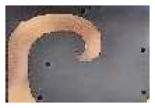 Details are in the caption following the image
