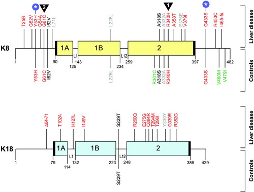 Details are in the caption following the image Details are in the caption following the image