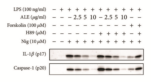 Details are in the caption following the image