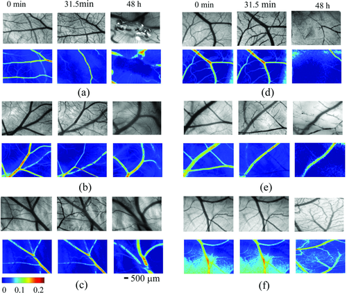 Details are in the caption following the image Details are in the caption following the image