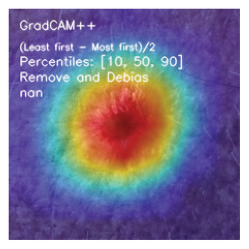 Details are in the caption following the image Details are in the caption following the image