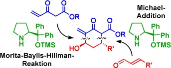 An Unexpected Organocatalytic Asymmetric Tandem Michael/Morita–Baylis–Hillman Reaction