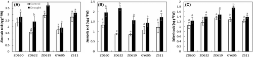 Details are in the caption following the image Details are in the caption following the image