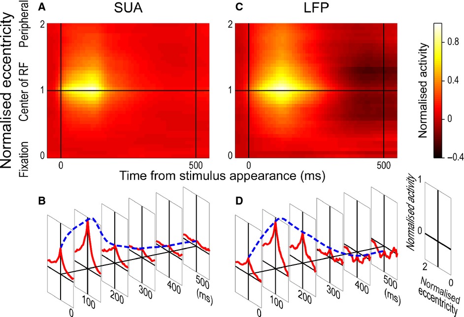 Spatio-temporal response properties of local field potentials in the primate superior colliculus