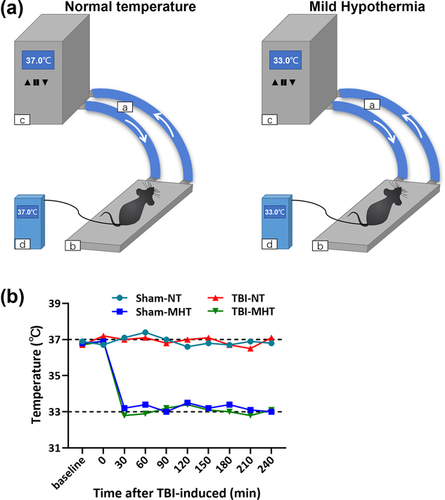 Details are in the caption following the image Details are in the caption following the image