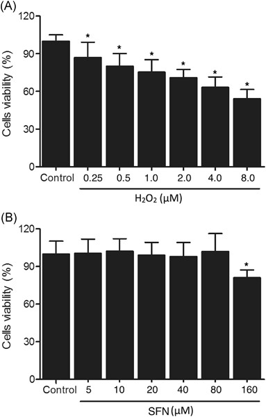 Sulforaphane administration alleviates diffuse axonal injury (DAI) via regulation signaling pathway of NRF2 and HO-1