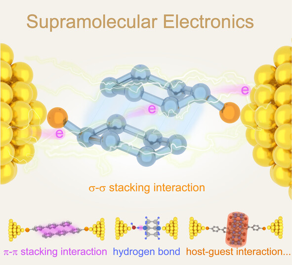 Characterization and Application of Supramolecular Junctions