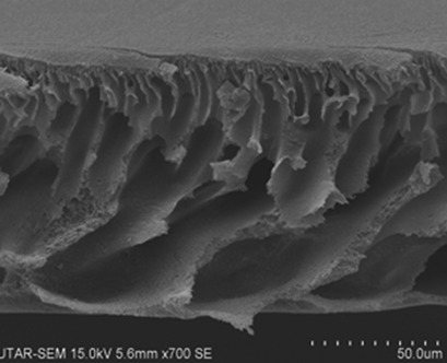 Thin-Film Nanocomposite Nanofiltration Membranes Incorporated with Graphene Oxide for Phosphorus Removal
