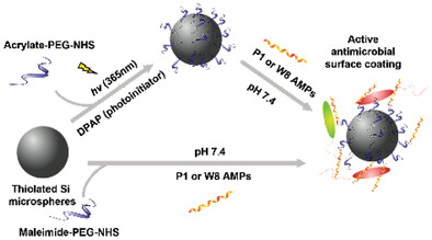 Enhancing the Activity of Surface Immobilized Antimicrobial Peptides Using Thiol-Mediated Tethering to Poly(ethylene glycol)