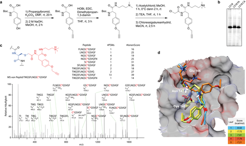Details are in the caption following the image Details are in the caption following the image