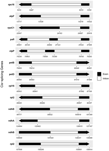 Details are in the caption following the image Details are in the caption following the image