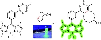 BODIPY–Tetrazine Derivatives as Superbright Bioorthogonal Turn-on Probes