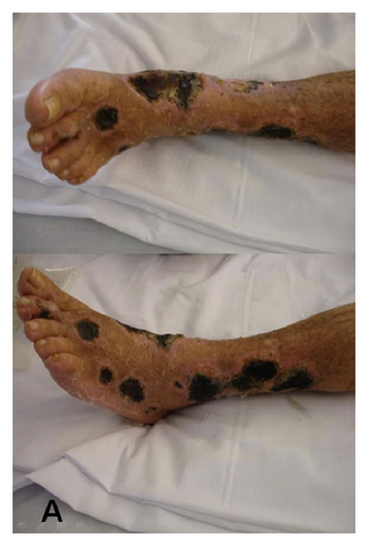 Details are in the caption following the image Details are in the caption following the image
