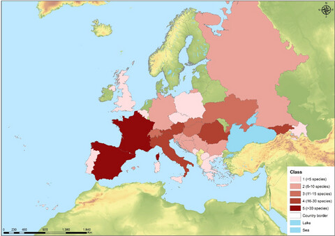 A synthesis on troglobitic springtails in Europe