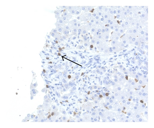 Details are in the caption following the image