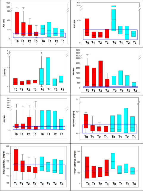 Mefepronic acid is associated with a decrease in serum liver enzyme activities in dogs with suspected hepatopathy
