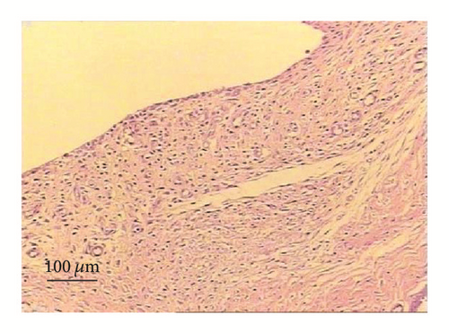 Details are in the caption following the image