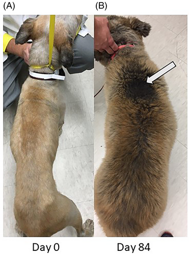 Details are in the caption following the image Details are in the caption following the image