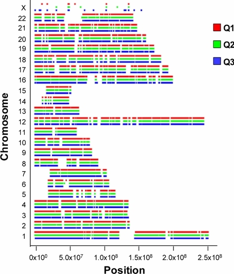 Exome Sequencing Identifies Potential Risk Variants for Mendelian Disorders at High Prevalence in Qatar