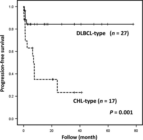 Clinicopathological analysis of methotrexate-associated lymphoproliferative disorders: Comparison of diffuse large B-cell lymphoma and classical Hodgkin lymphoma types