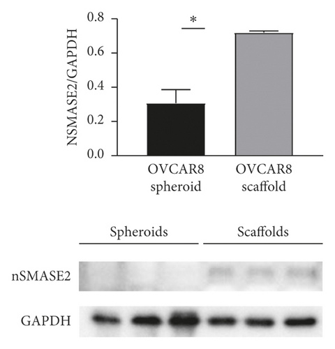 Details are in the caption following the image