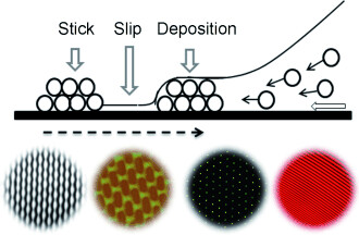 Learning from “Coffee Rings”: Ordered Structures Enabled by Controlled Evaporative Self-Assembly
