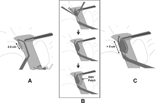 Details are in the caption following the image Details are in the caption following the image