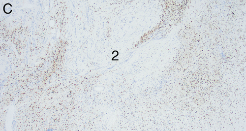Details are in the caption following the image Details are in the caption following the image