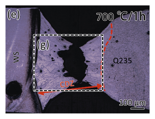 Details are in the caption following the image