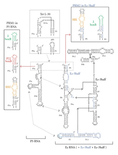 Details are in the caption following the image Details are in the caption following the image