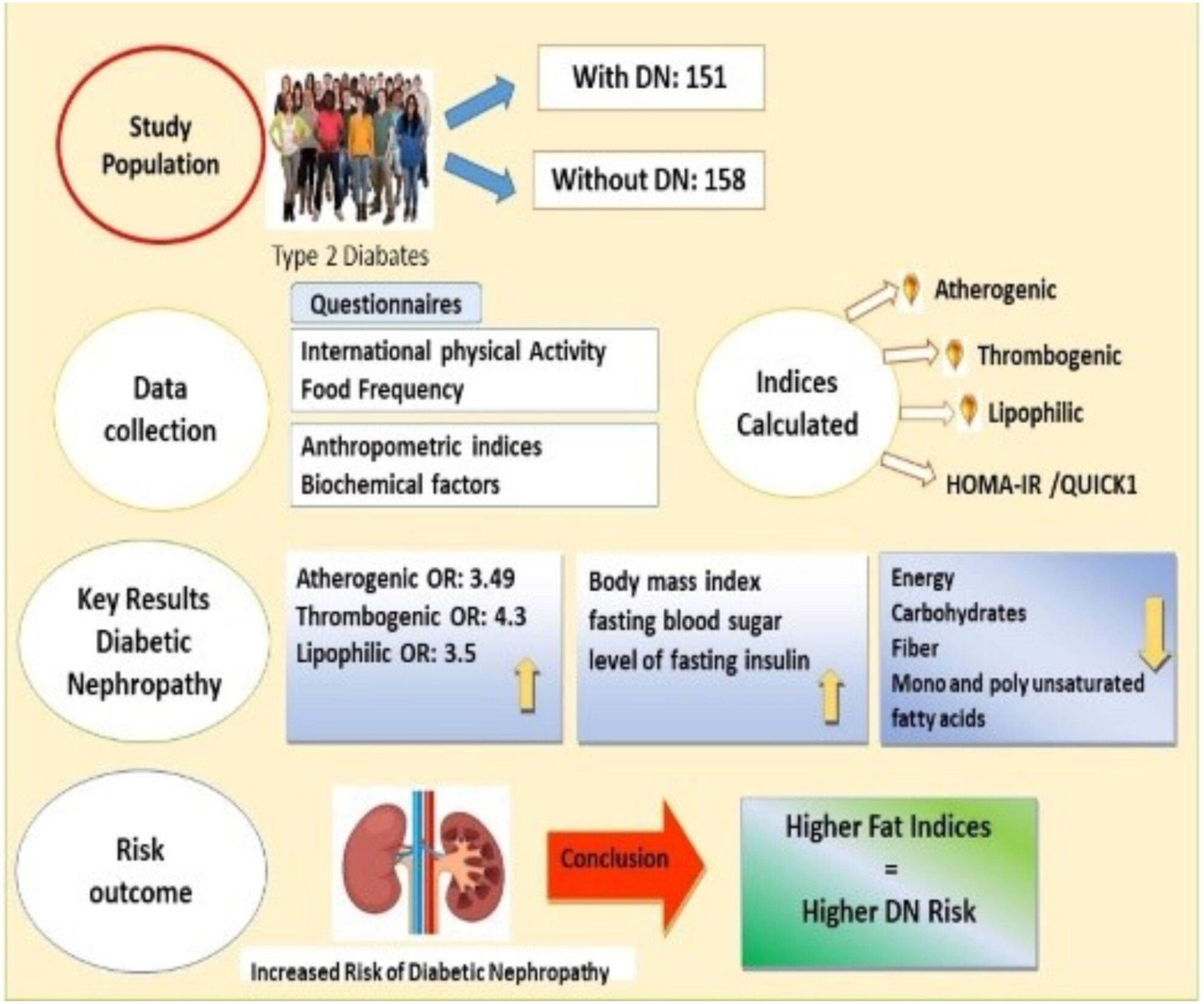 Association Between Atherogenic, Thrombogenic, and Lipophilic Indices and the Odds of Diabetic Nephropathy in Type 2 Diabetic Patients: A Case–Control Study