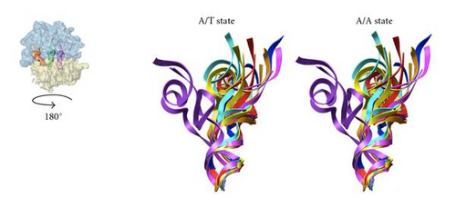 Details are in the caption following the image