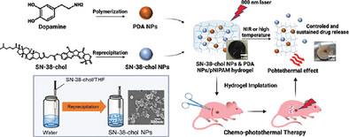 Sustained Drug Release from Dual-Responsive Hydrogels for Local Cancer Chemo–Photothermal Therapy