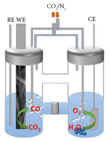 Details are in the caption following the image Details are in the caption following the image