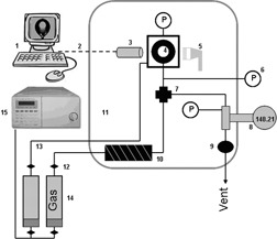 Effect of Hydrocarbon and Non-Hydrocarbon Gas Injection on the Interfacial Tension of a Gas Condensate System