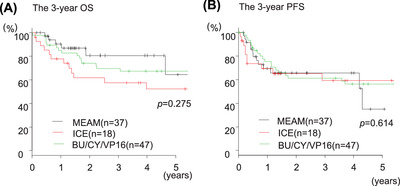 Safety and efficacy of high-dose cytarabine MEAM therapy and other treatments for auto-peripheral blood stem cell transplantation: A retrospective comparative study