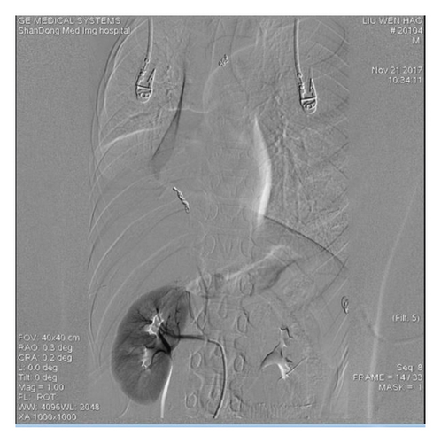 Details are in the caption following the image Details are in the caption following the image