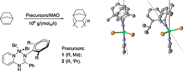 Vinyl polymerization of norbornene catalyzed by 2-Py-amidine Ni(II) complex/methylaluminoxane systems