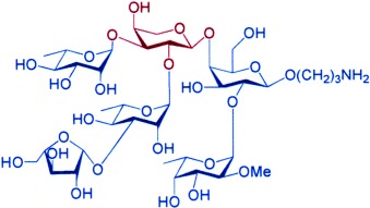A Highly Convergent Chemical Synthesis of Conformational Epitopes of Rhamnogalacturonan II