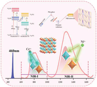 Super Broadband Emission Across NIR-I and NIR-II Under Blue Light Excitation of Cr3+, Ni2+ Co-Doped Sr2GaTaO6 Phosphor Achieved by Two-Site Occupation and Effective Energy Transfer