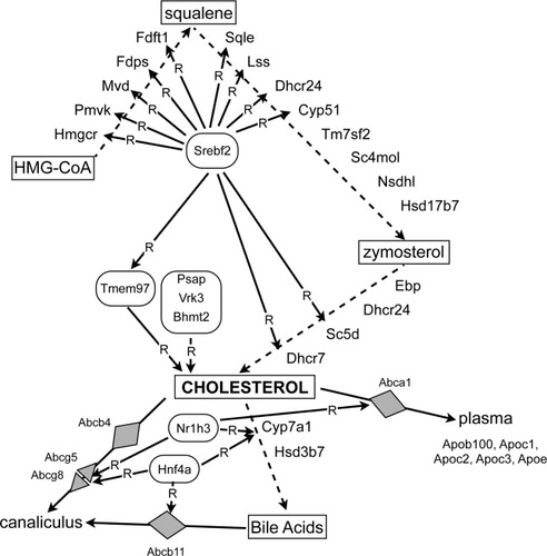 Details are in the caption following the image Details are in the caption following the image