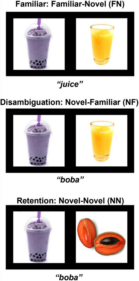 When slowing down processing helps learning: Lexico-semantic structure supports retention, but interferes with disambiguation of novel object-label mappings